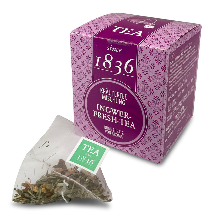 1836 Tea Ingwer - Fresh