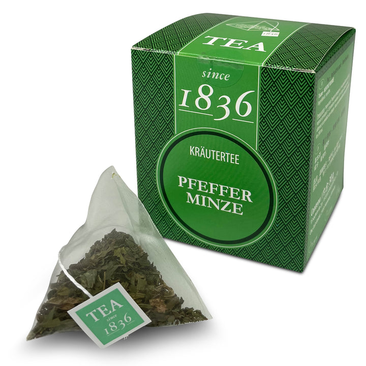 1836 Tea Pfefferminze