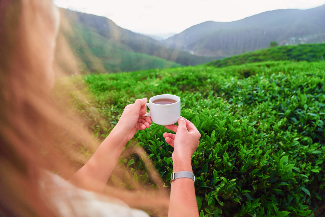 Frau hält Teetasse in den Händen, im Hintergrund Teeplantage