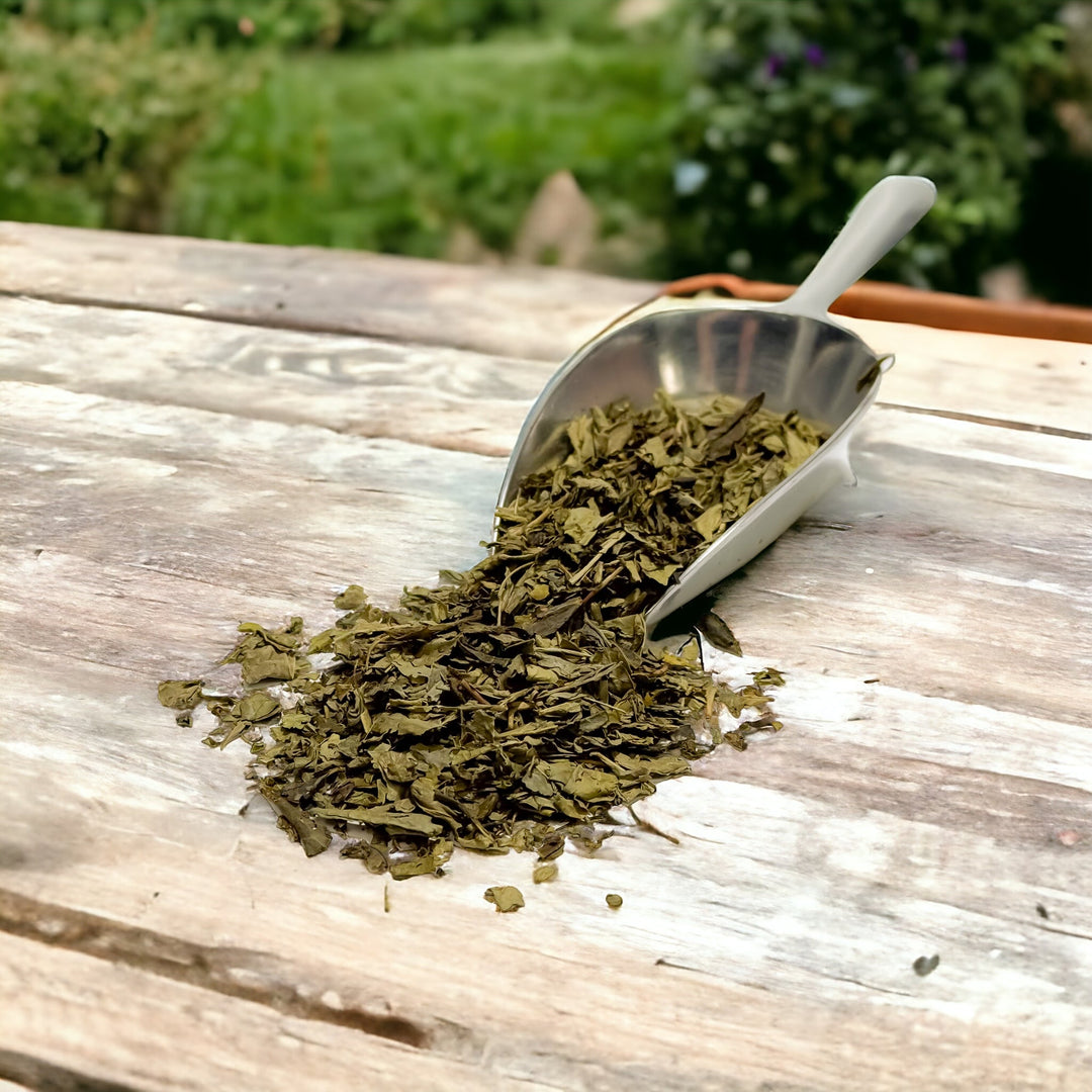 China Sencha Bio Entkoffeiniert