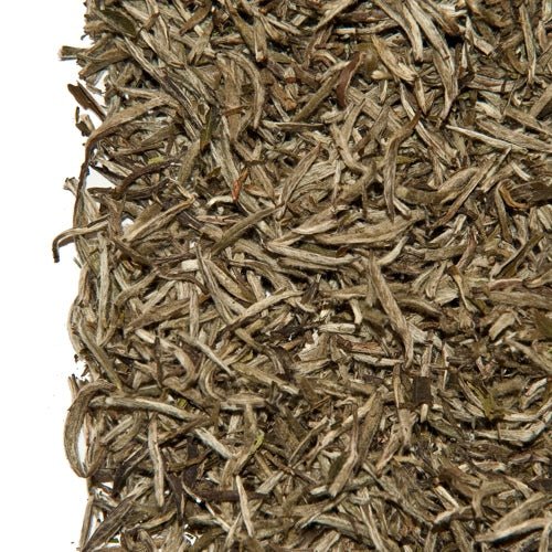 China White Paklum Yin Zhen Tips Bio