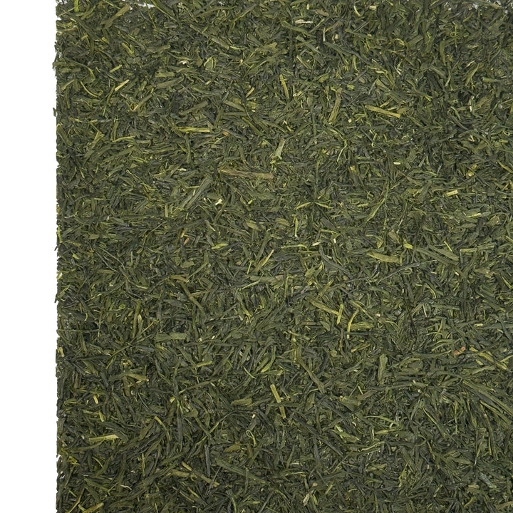 Japan Sencha Miyazaki